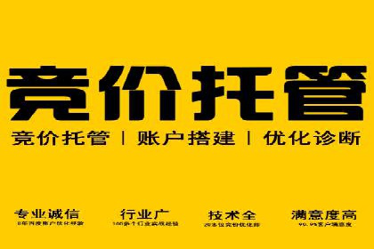 SEM推广实战：案例解析与策略探讨